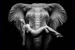 fotografo boudoir madrid